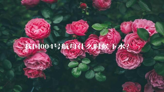我国004号航母什么时候下水？