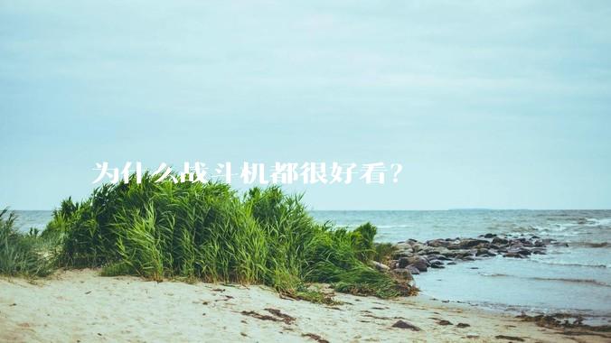 为什么战斗机都很好看？